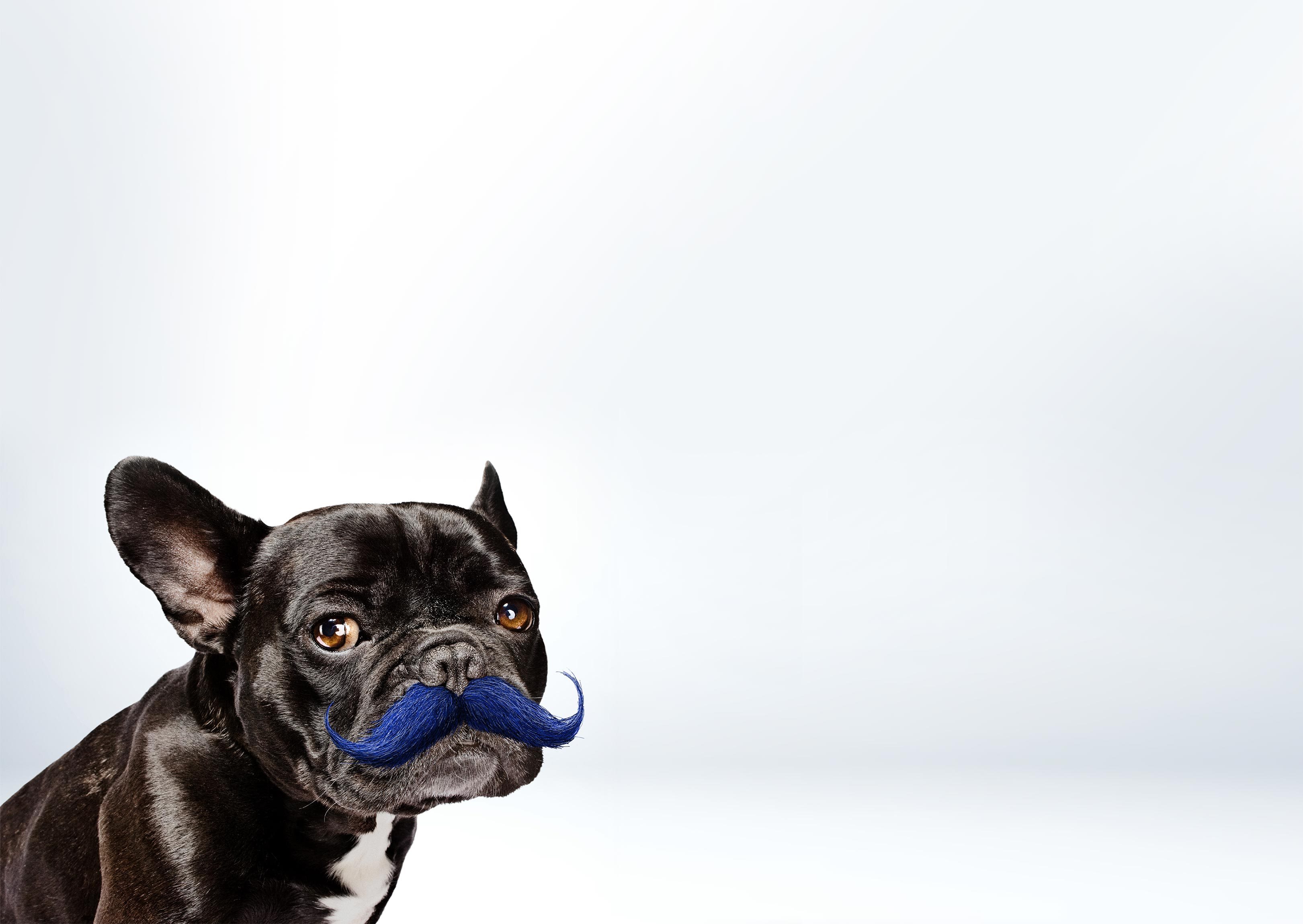 1664_homepage_hero_desktop_background.jpg